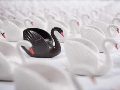 Supply Chain Black Swans logistics
